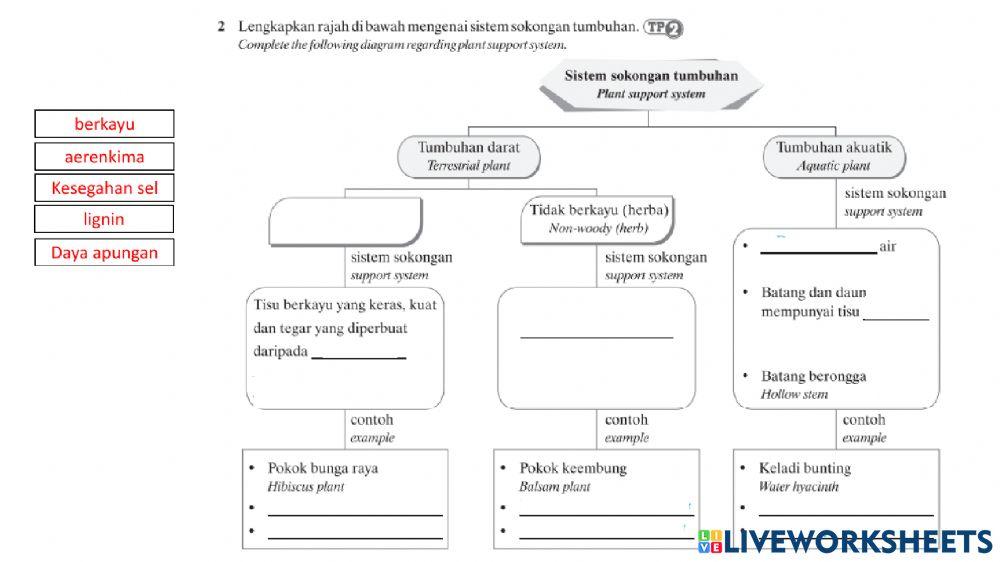 Bab 6 sokongan pertumbuhan