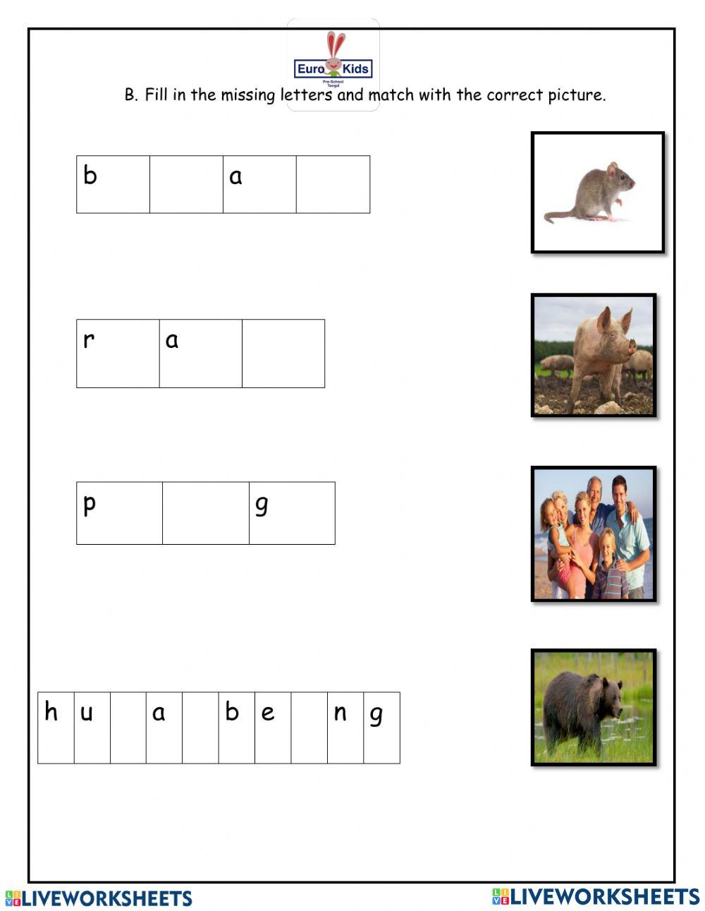 Conceptual Skills Evaluation worksheet | Live Worksheets