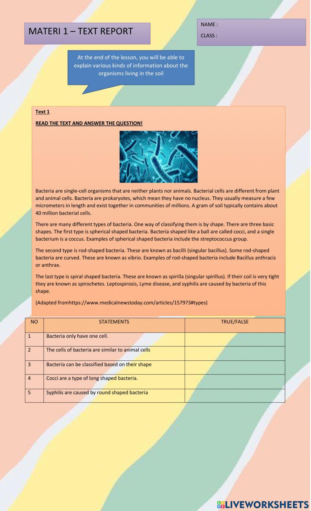 Report text 1 SEDANG