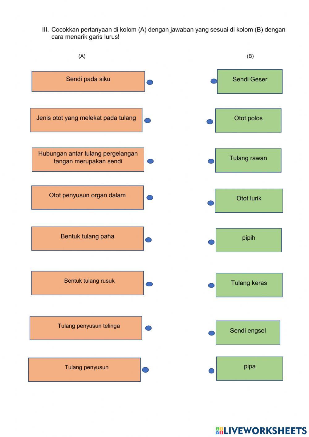 LKPD Sistem Gerak Manusia
