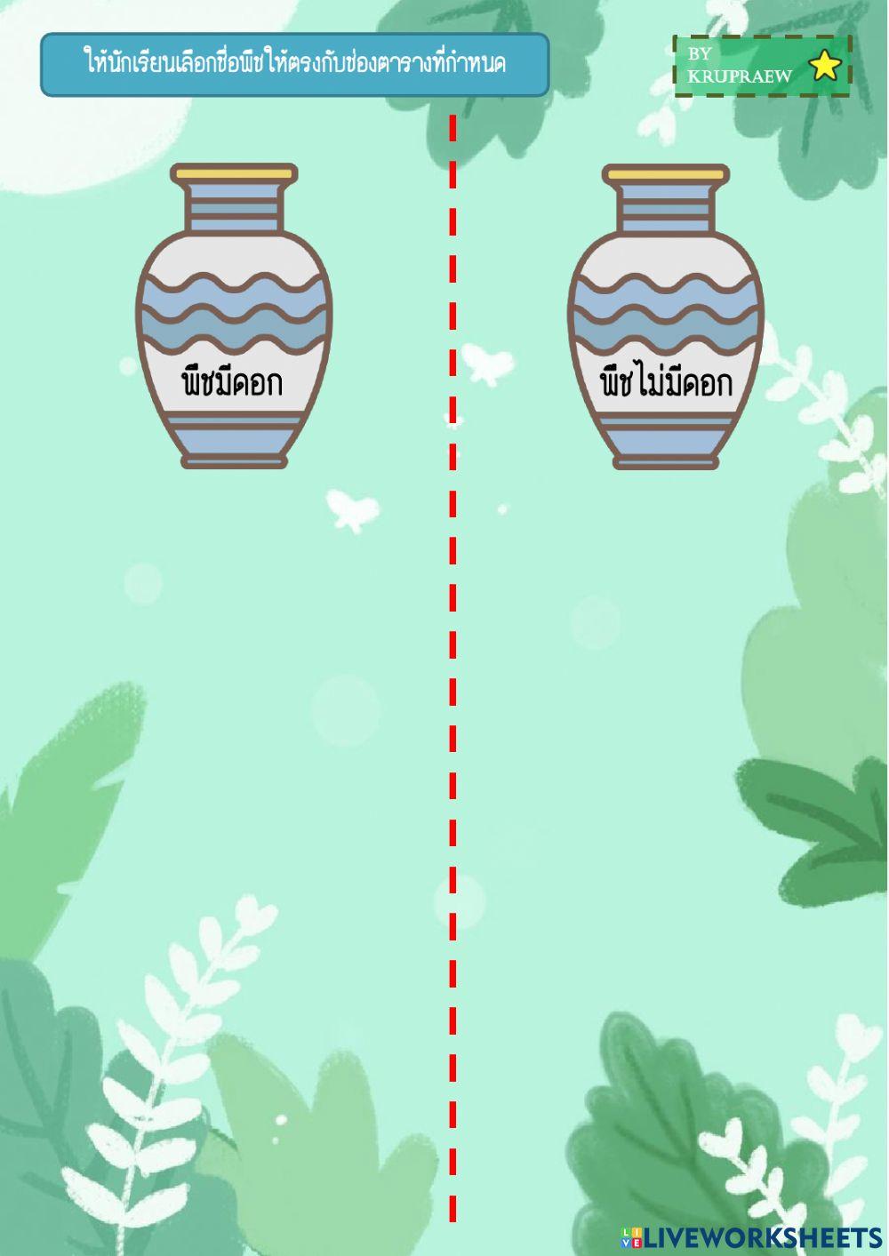 พืชมีดอก พืชไม่มีดอก