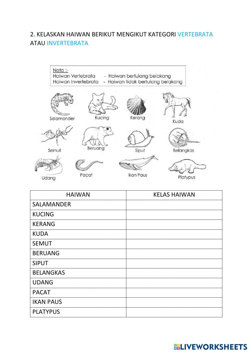 Latihan sains tahun 4 - haiwan