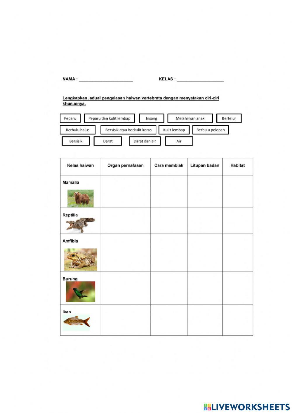Latihan sains tahun 4 - haiwan