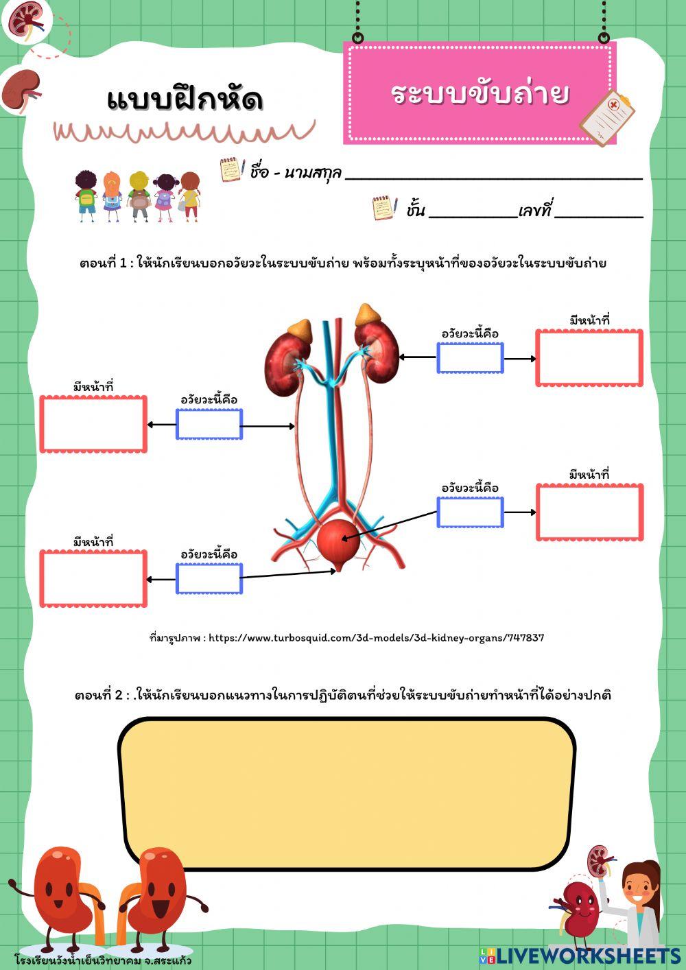 ระบบขับถ่าย