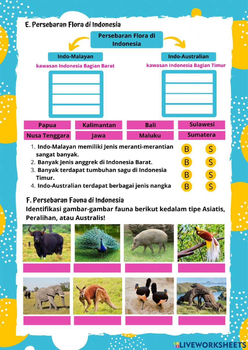 Kenampakan Alam Indonesia