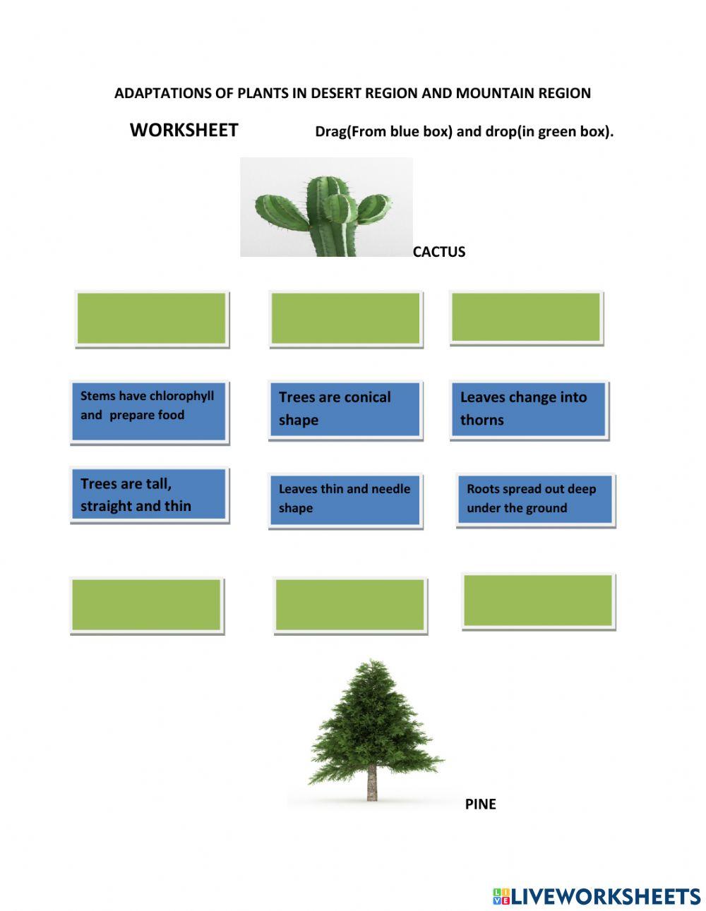 Adaptations in Plants