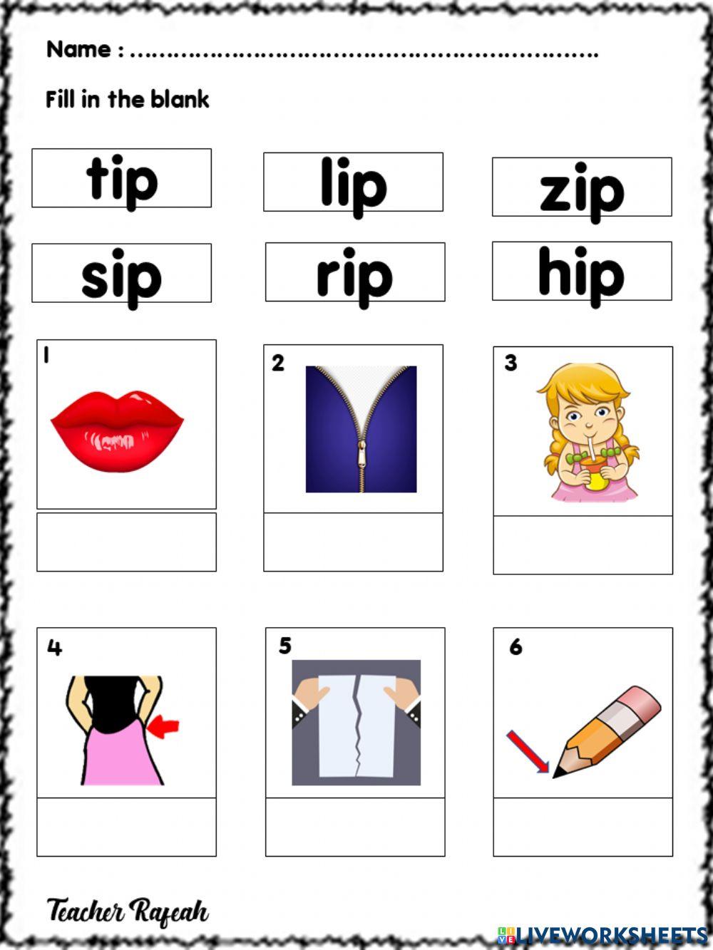 Fill in the blank ip family