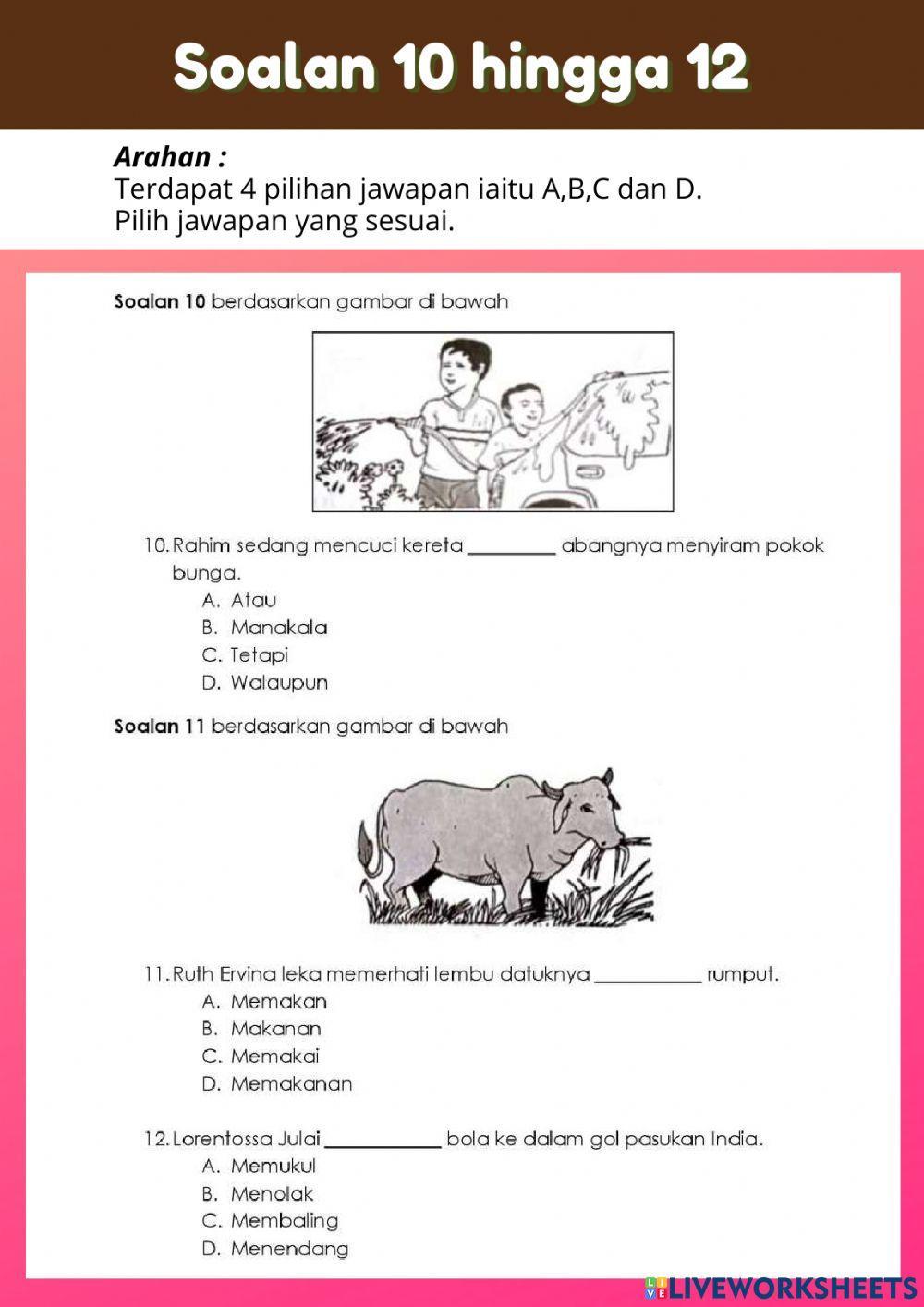 Ujian Penilaian Pertengahan Tahun (BM Tahun 3)