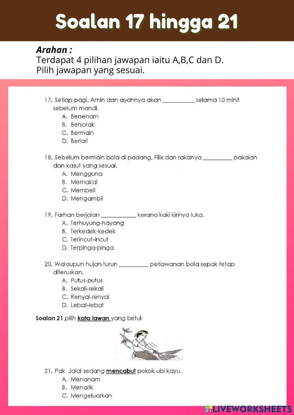 Ujian Penilaian Pertengahan Tahun (BM Tahun 3)