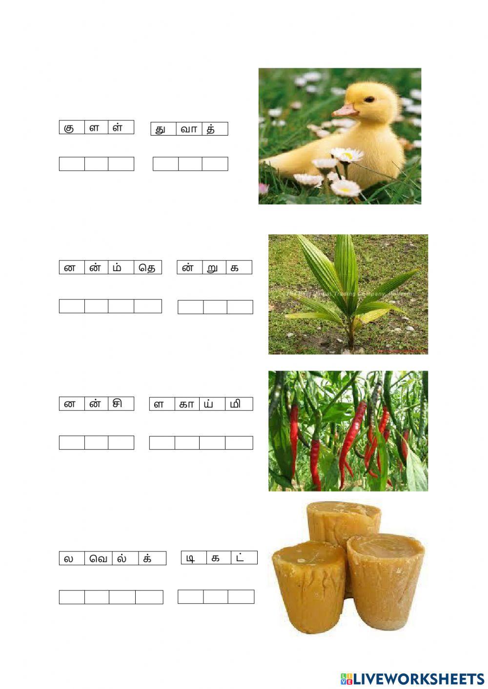 இரட்டிப்பு எழுத்துகளைக் கொண்ட சொற்றொடர்களை கண்டுப் பிடி