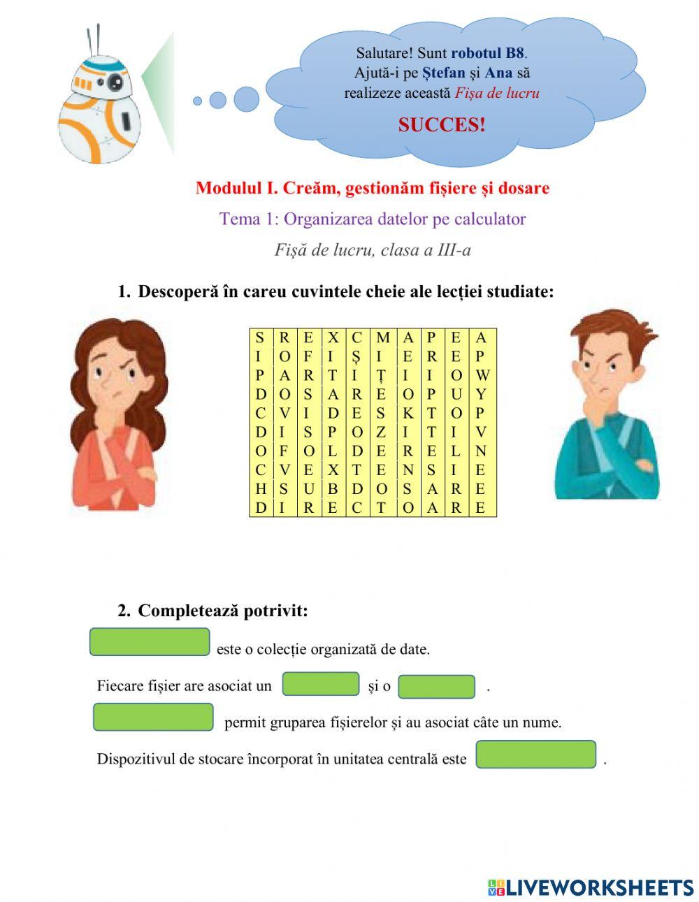 Organizarea datelor pe calculator