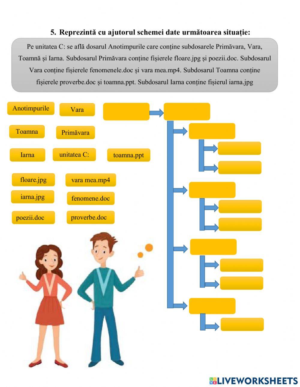 Organizarea datelor pe calculator