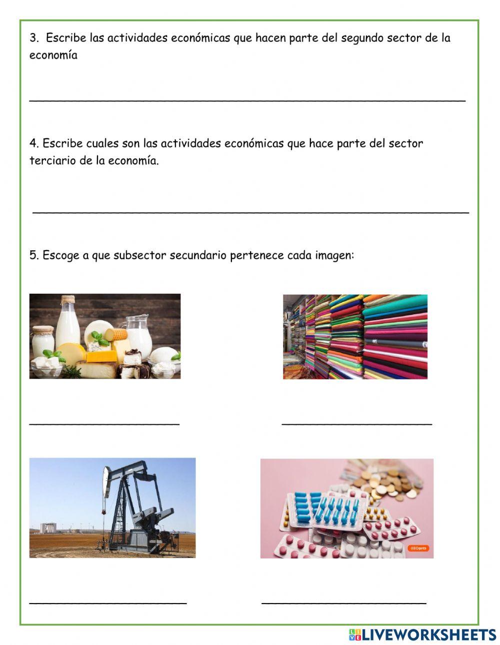 Sectores de la Economía