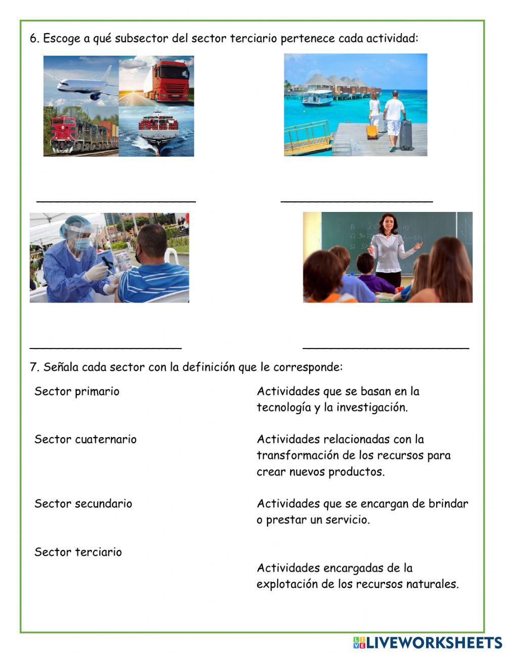 Sectores de la Economía