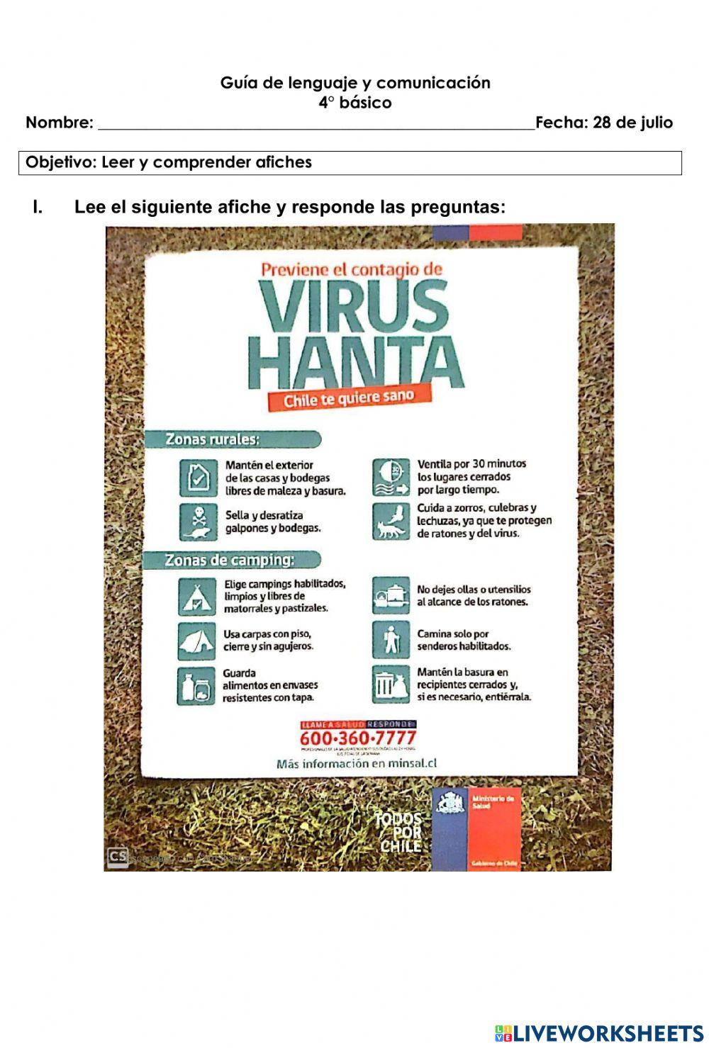 Comprensión de texto (Afiche II)