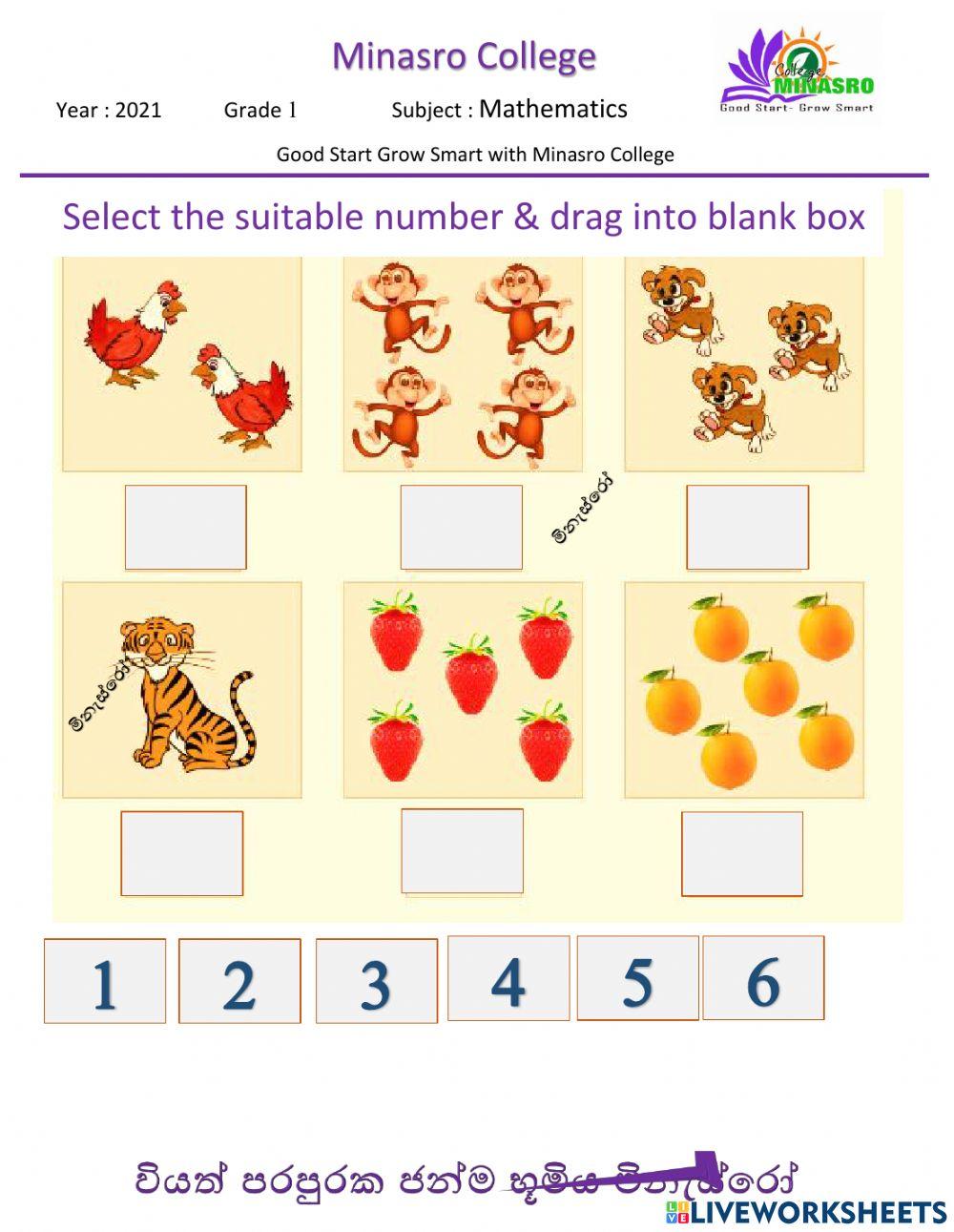 Minasro college grade 1 mathematics