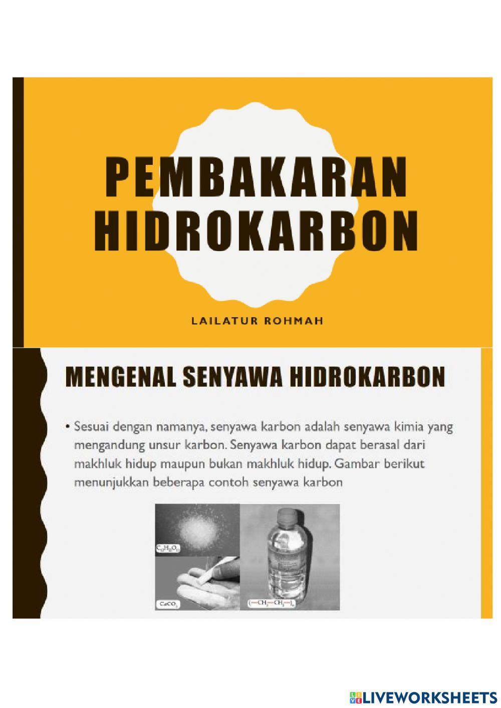 LK Pembakaran Hidrokarbon