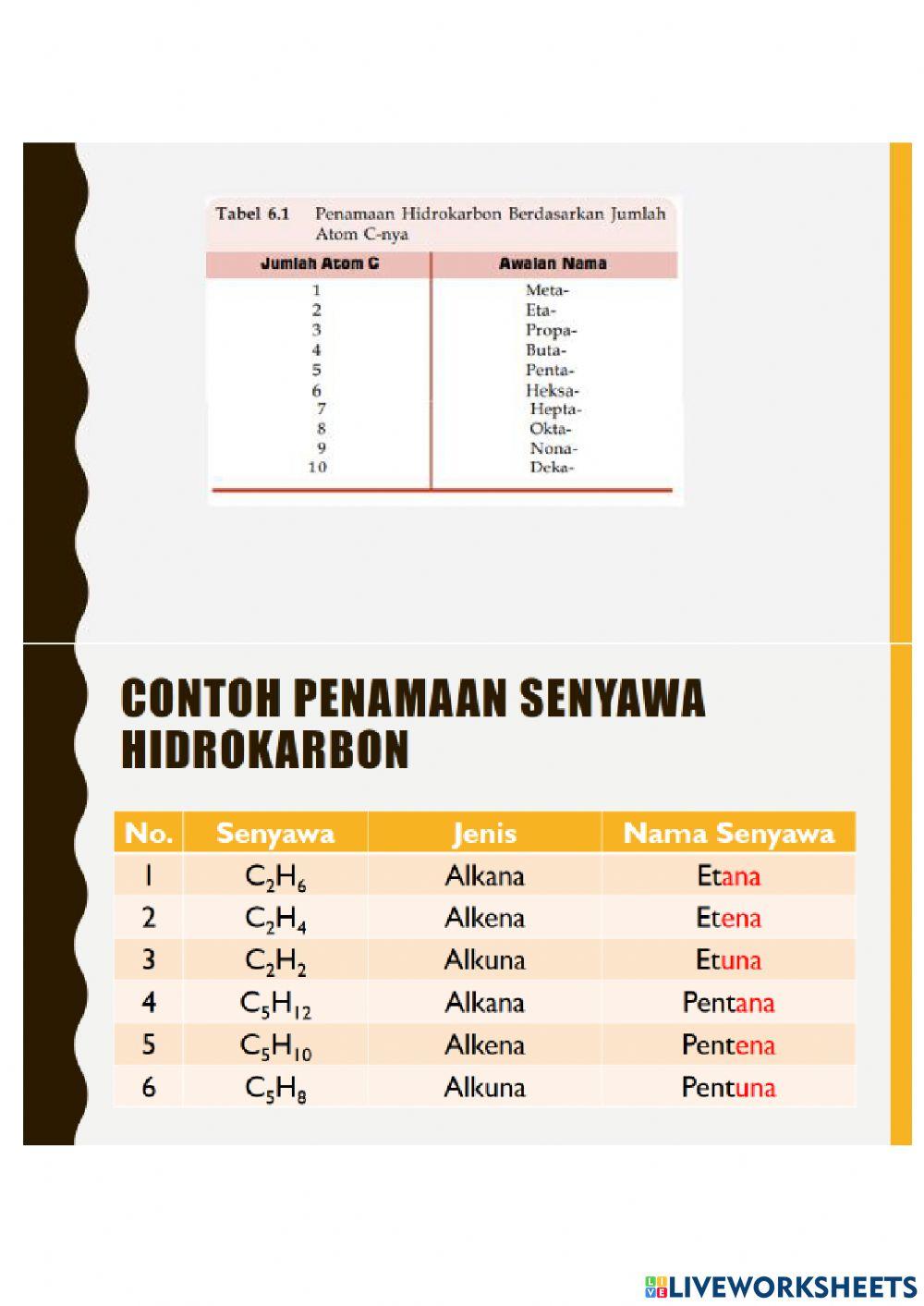 LK Pembakaran Hidrokarbon
