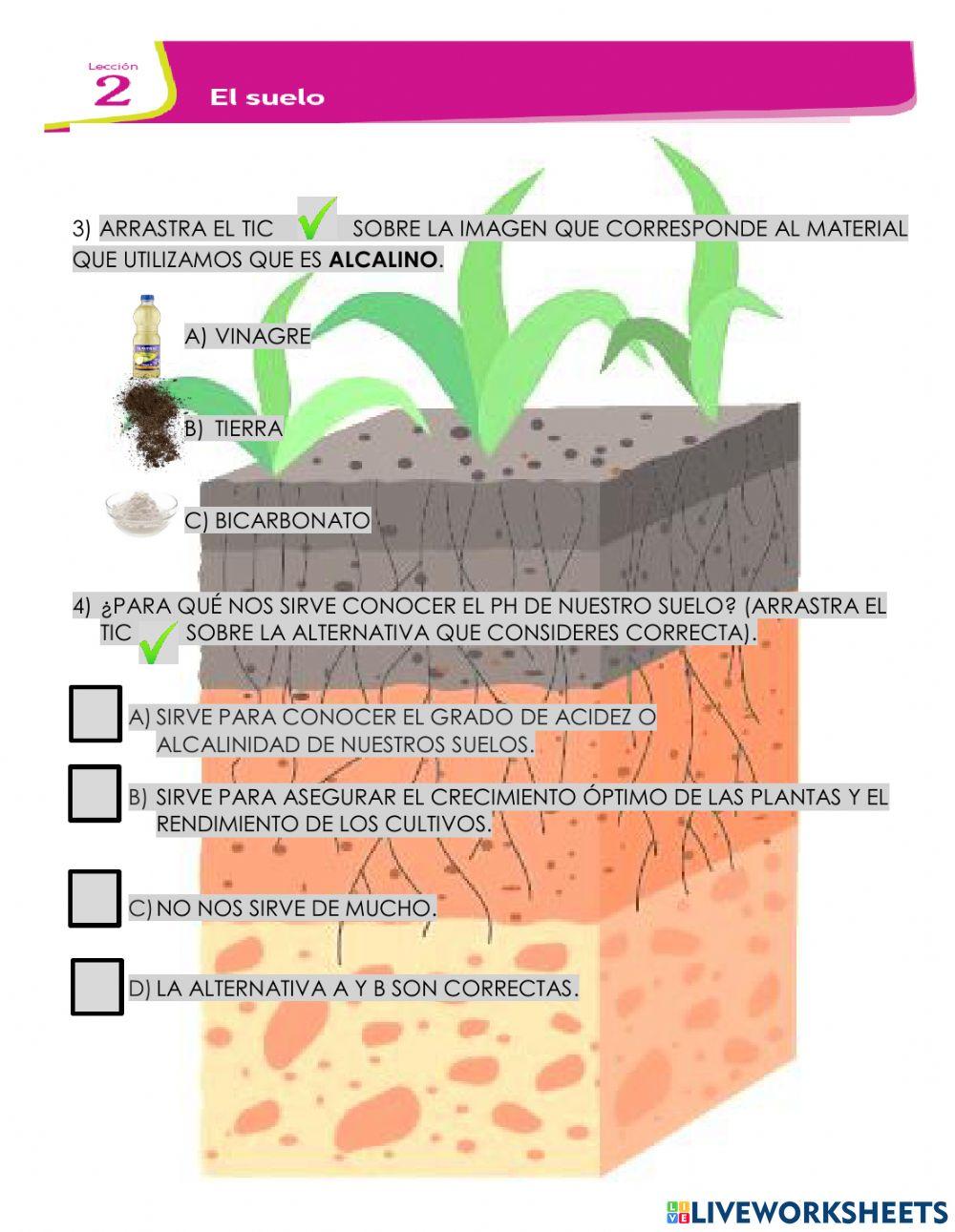 Experimento PH del suelo
