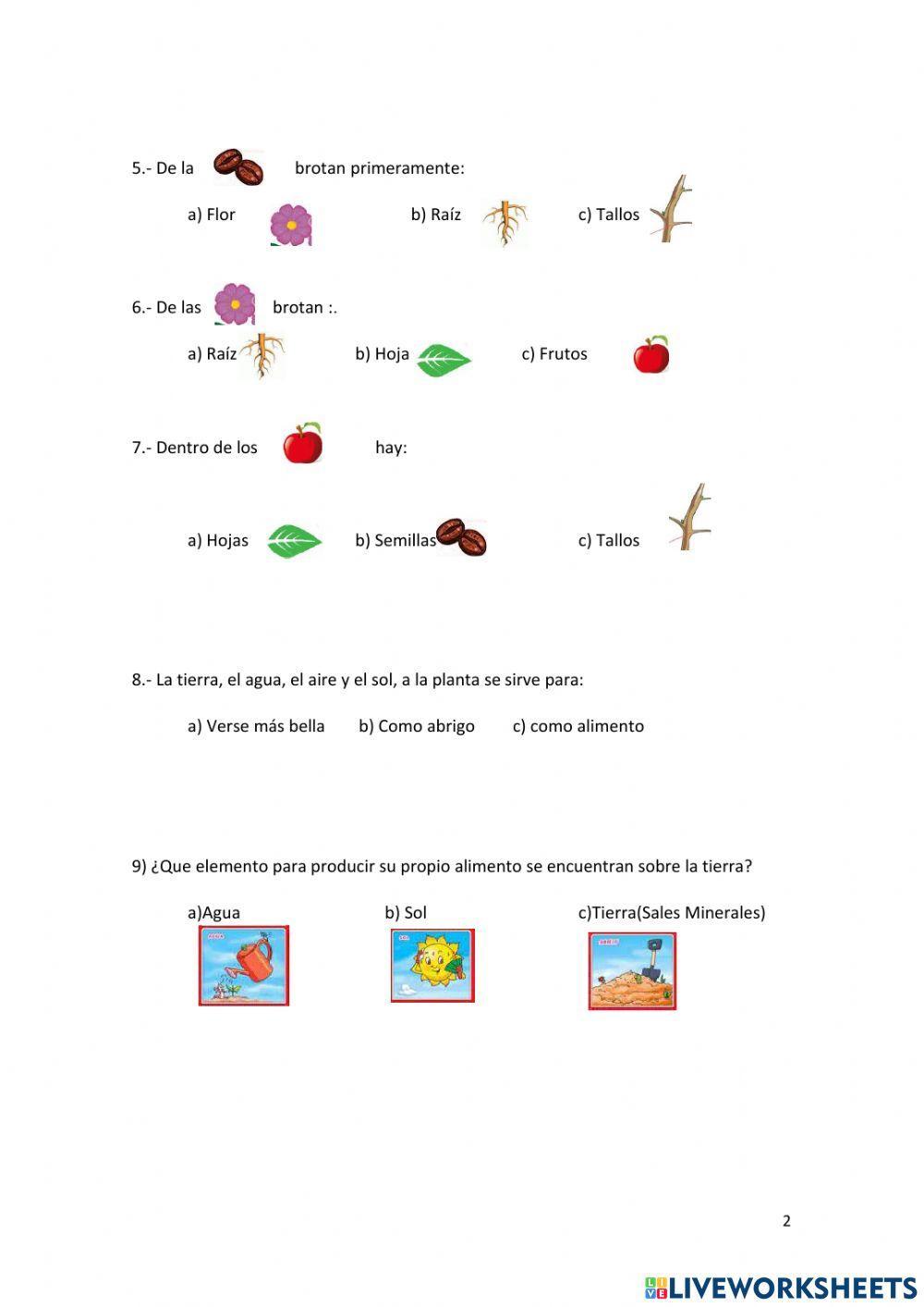Ciclo de vida de la Planta