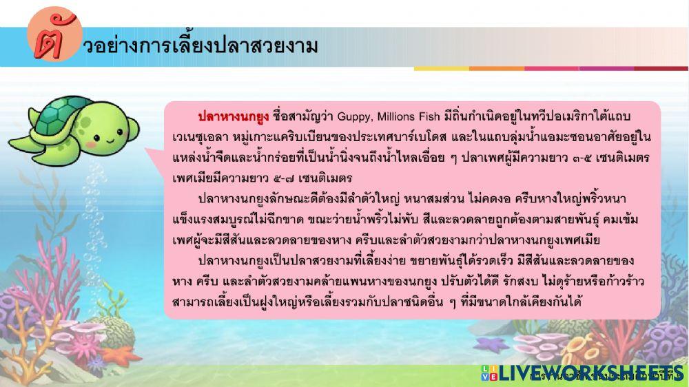 การงานอาชีพ ป.6 ครั้งที่ 5