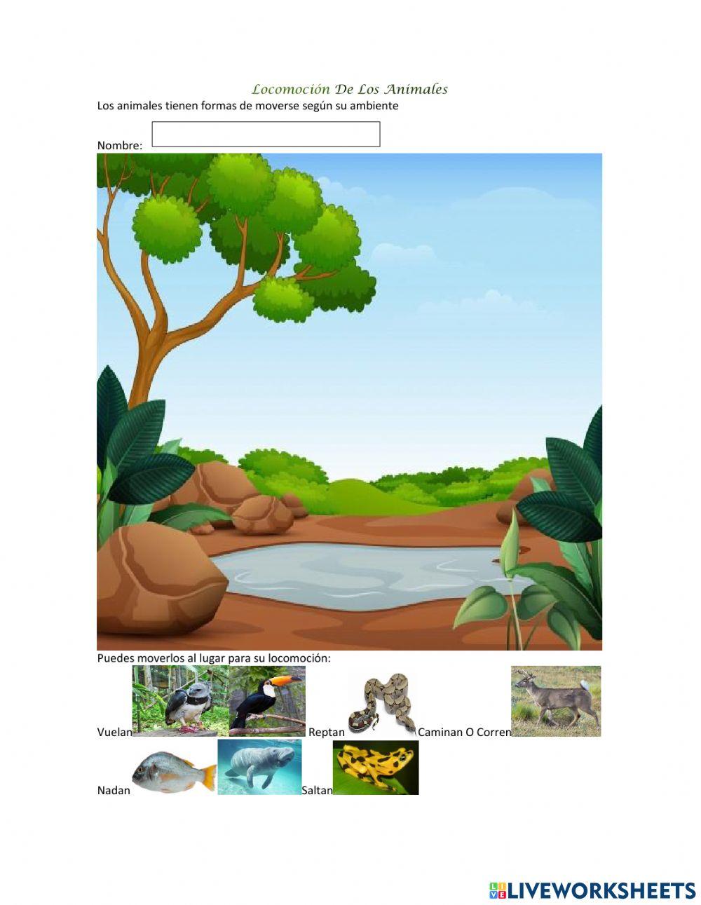 Locomoción De Los Animales