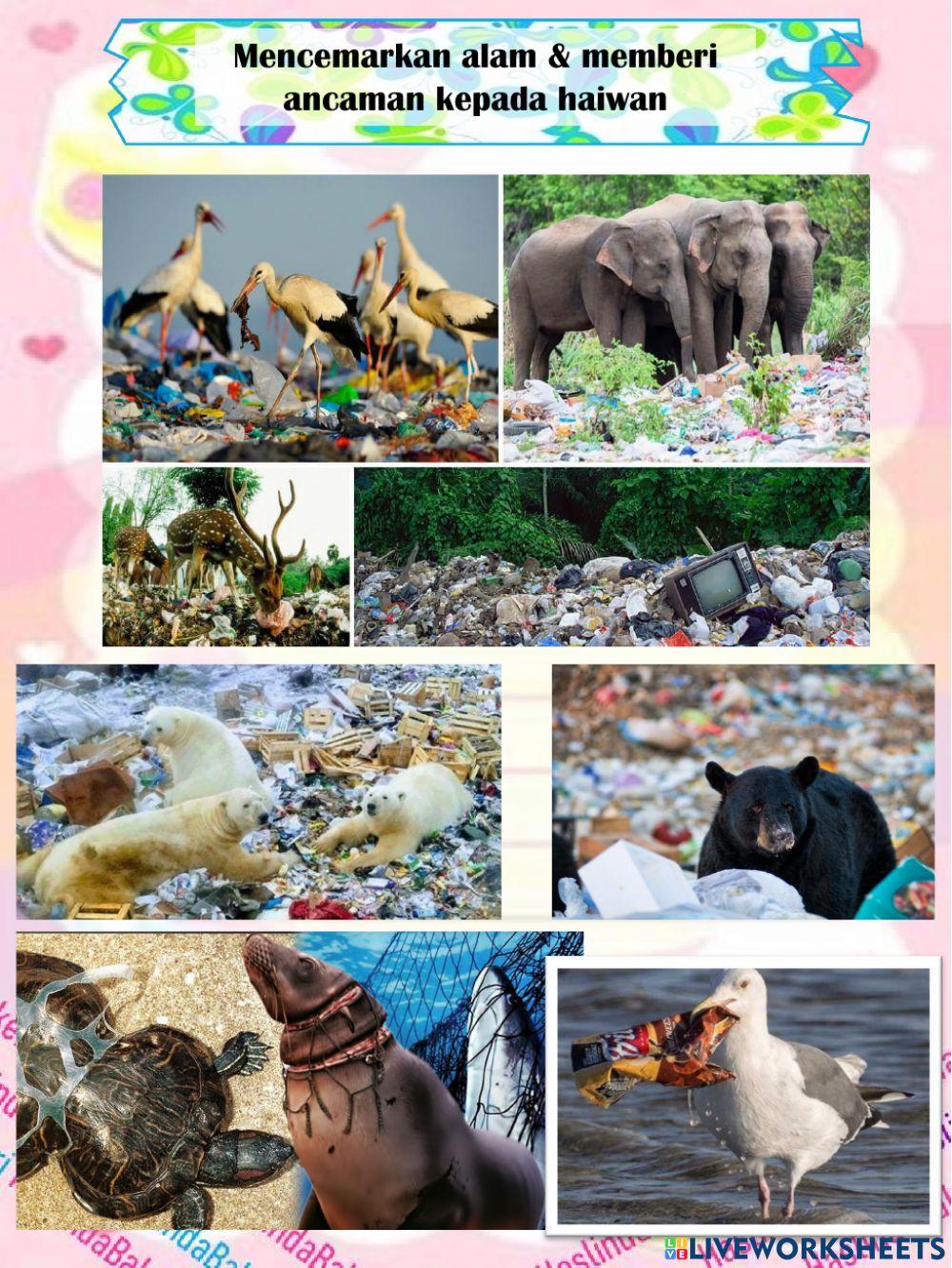 Sains Tahun 6 : Sains Bahan