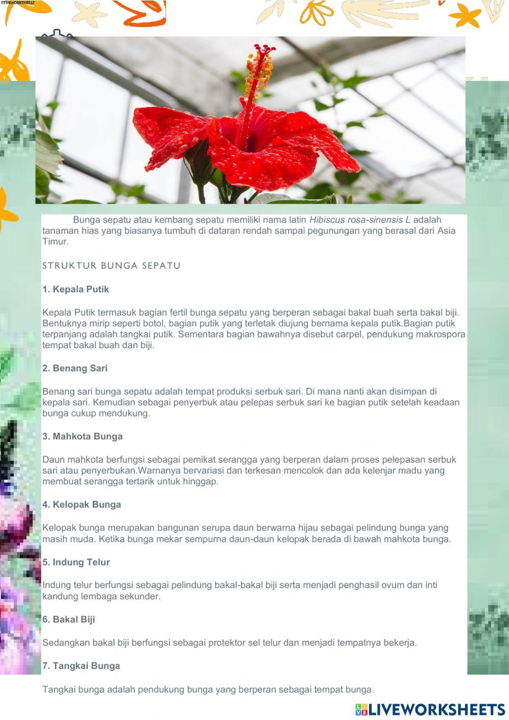 Perkembangbiakan Generatif