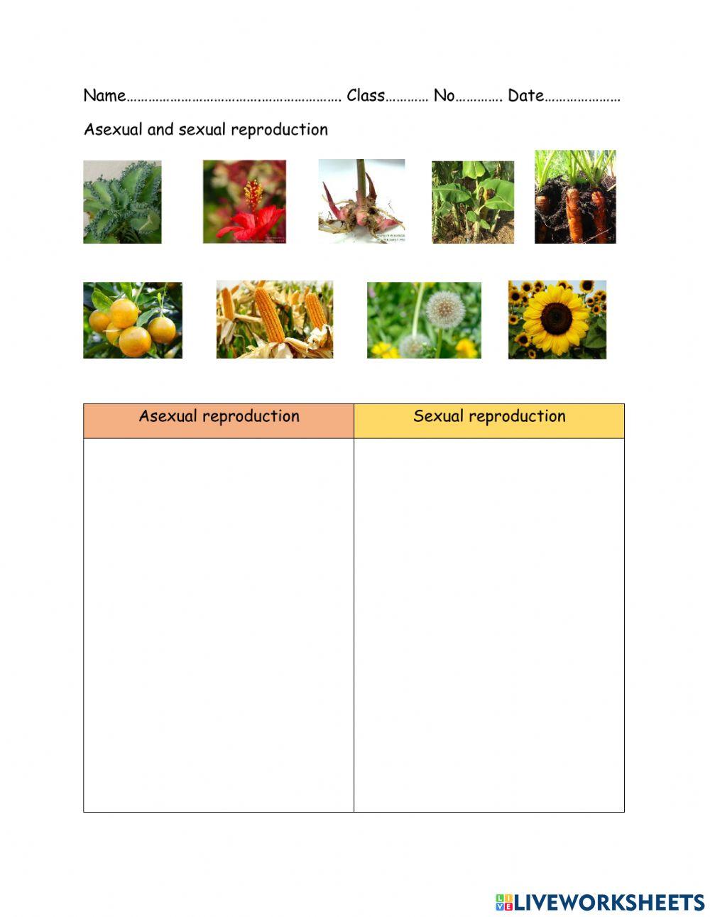 Sexual and asexual reprodution of plant Sexual and asexual reprodution of plant