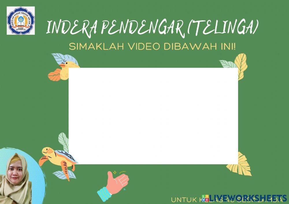 Indera Pendengar (Telinga)