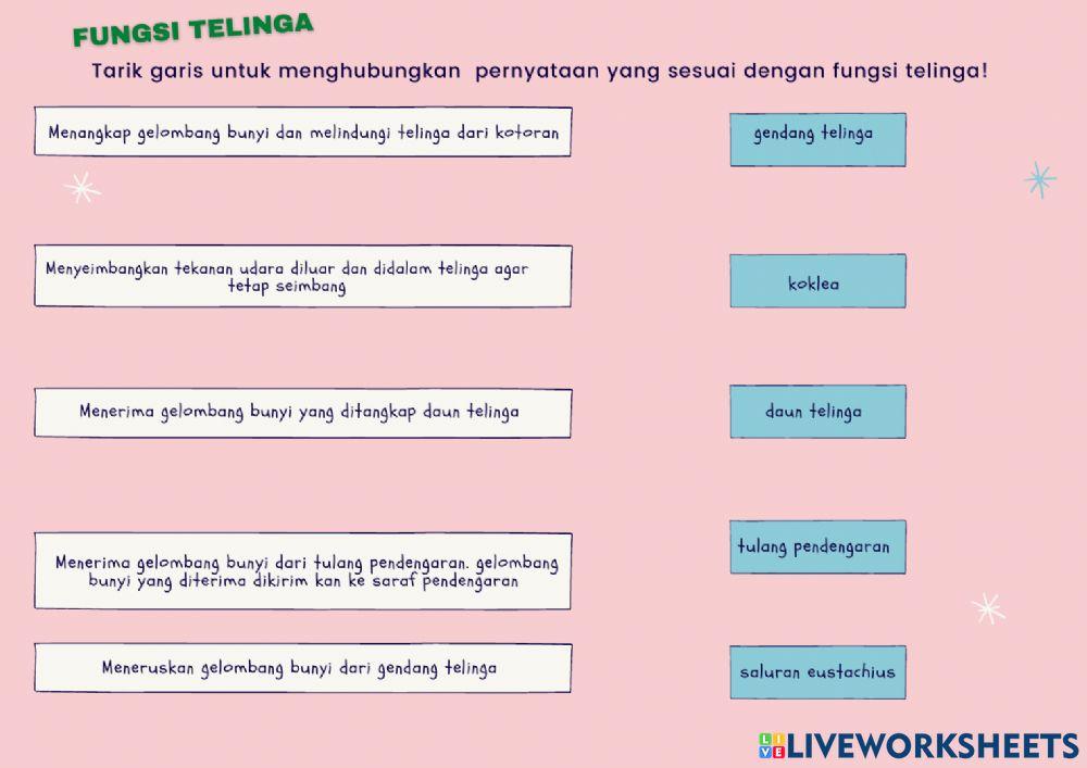 Indera Pendengar (Telinga)