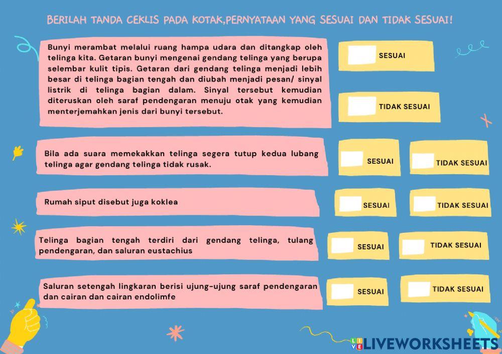 Indera Pendengar (Telinga)