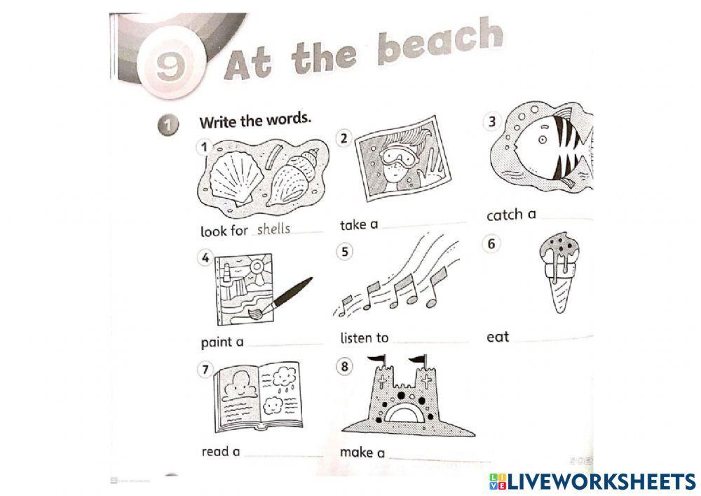 Unit 9 - at the beach