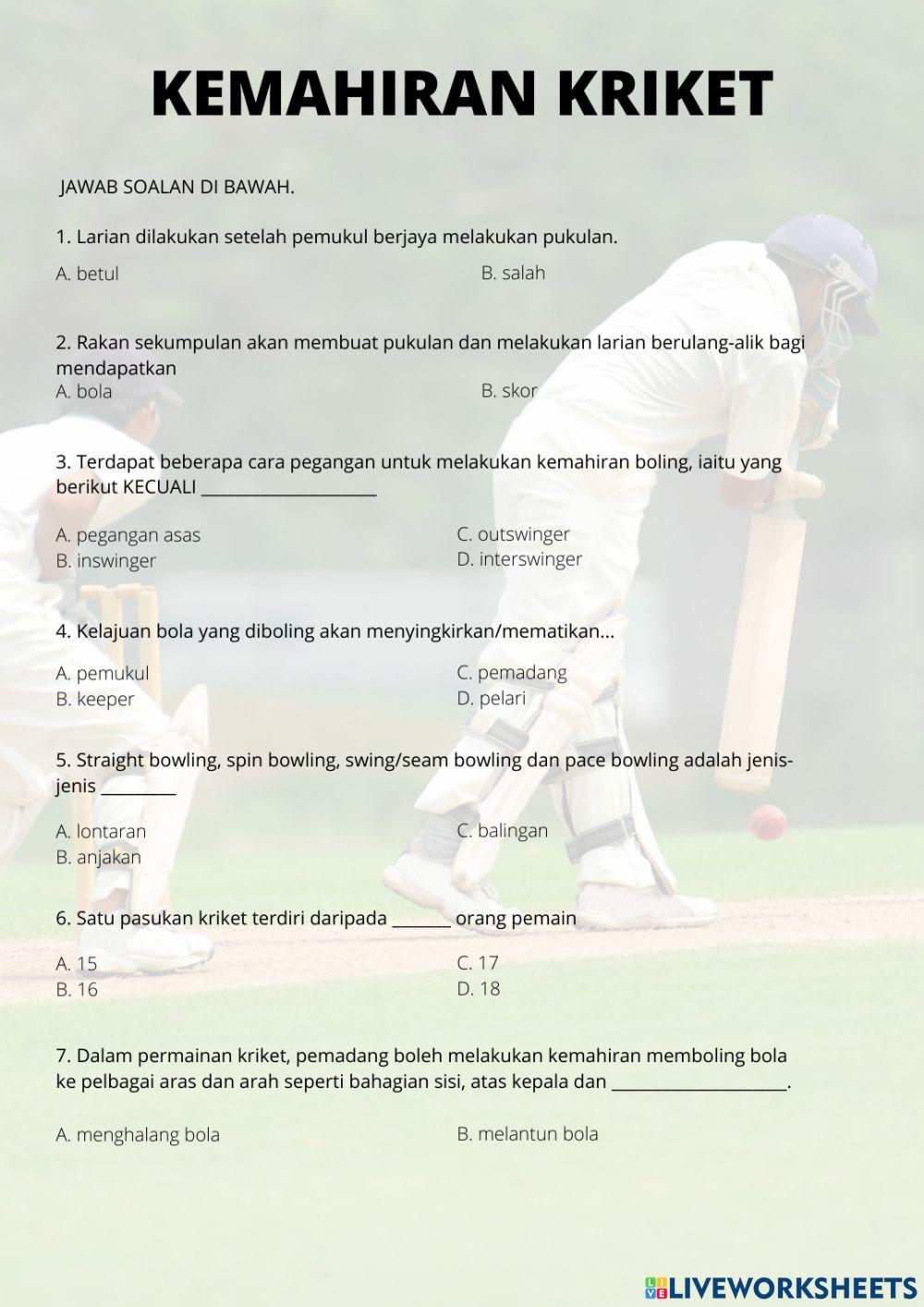 Kemahiran kriket
