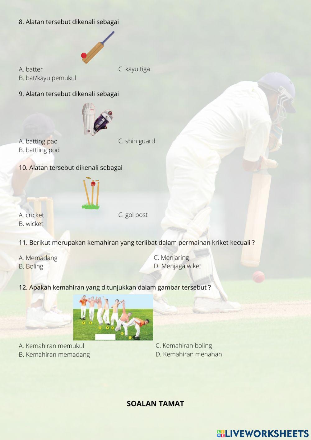 Kemahiran kriket