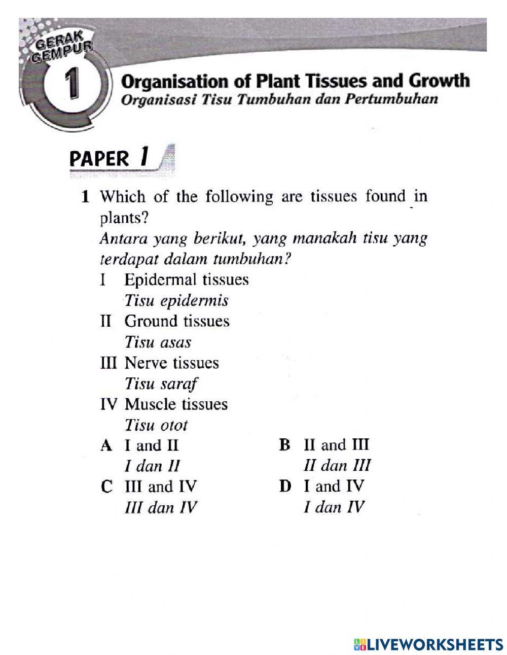 Organisasi tisu tumbuhan dan pertumbuhan