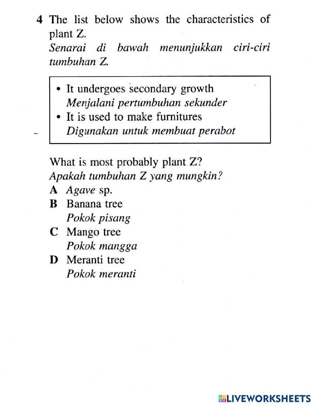 Organisasi tisu tumbuhan dan pertumbuhan