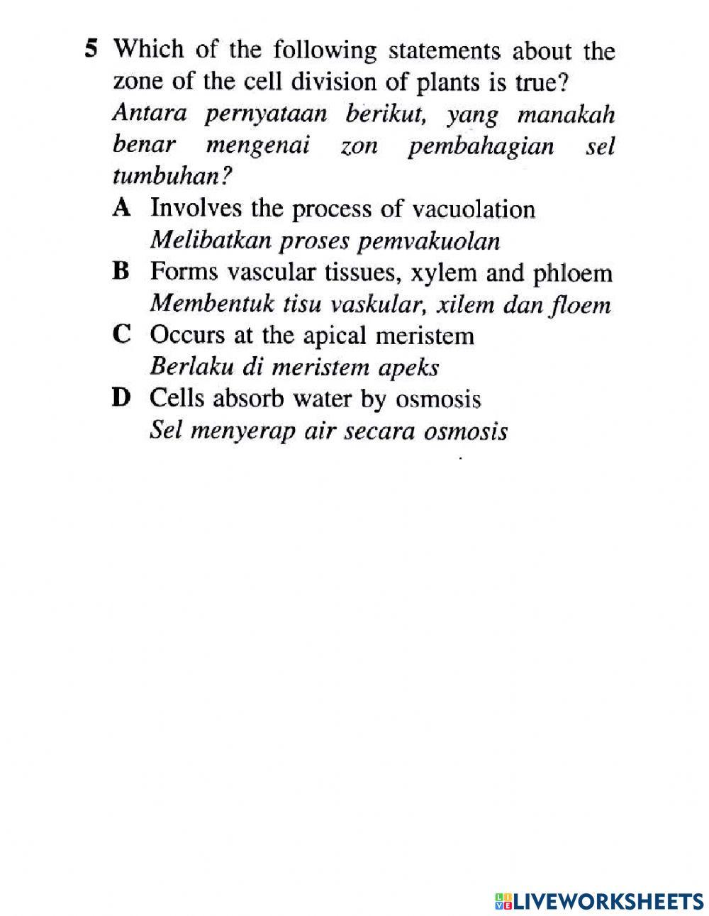 Organisasi tisu tumbuhan dan pertumbuhan