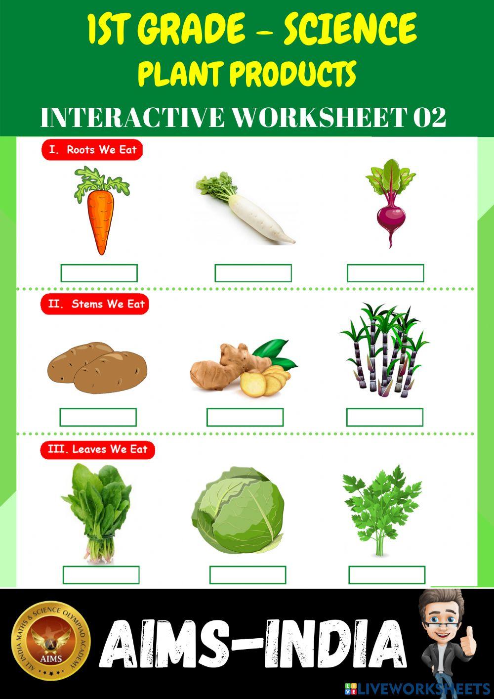 1st-science-ps02-plant products