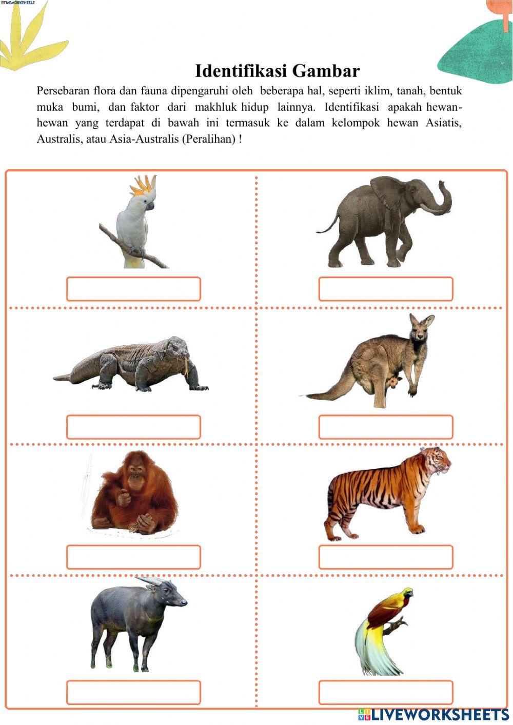 Lkpd organ gerak manusia tema 1 subtema 2 pb4