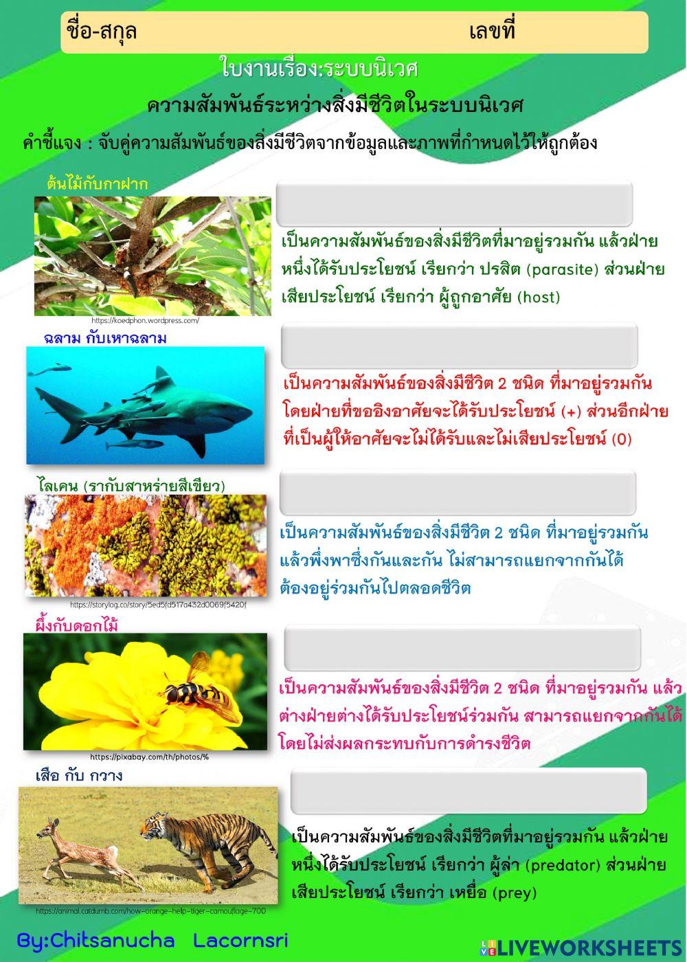 ระบบนิเวศ