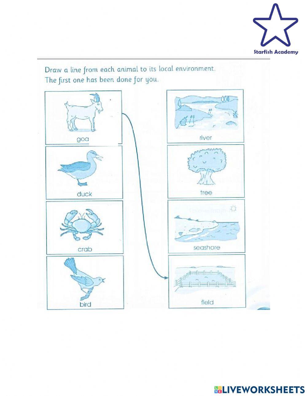 Animals environtment