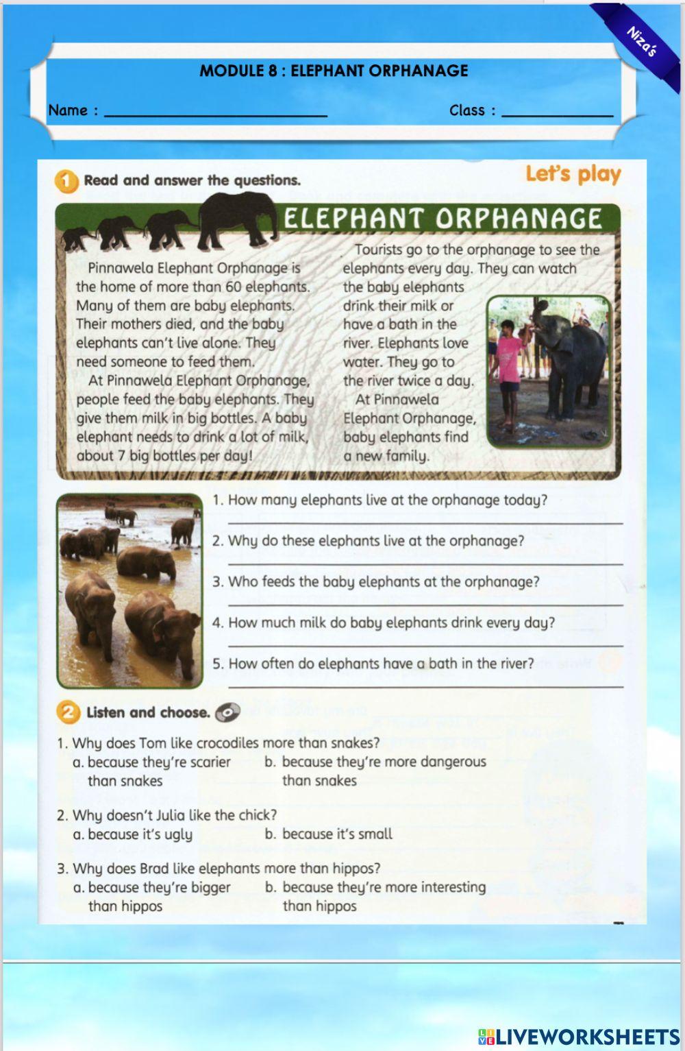 Y4 Module 8 : elephant orphanage