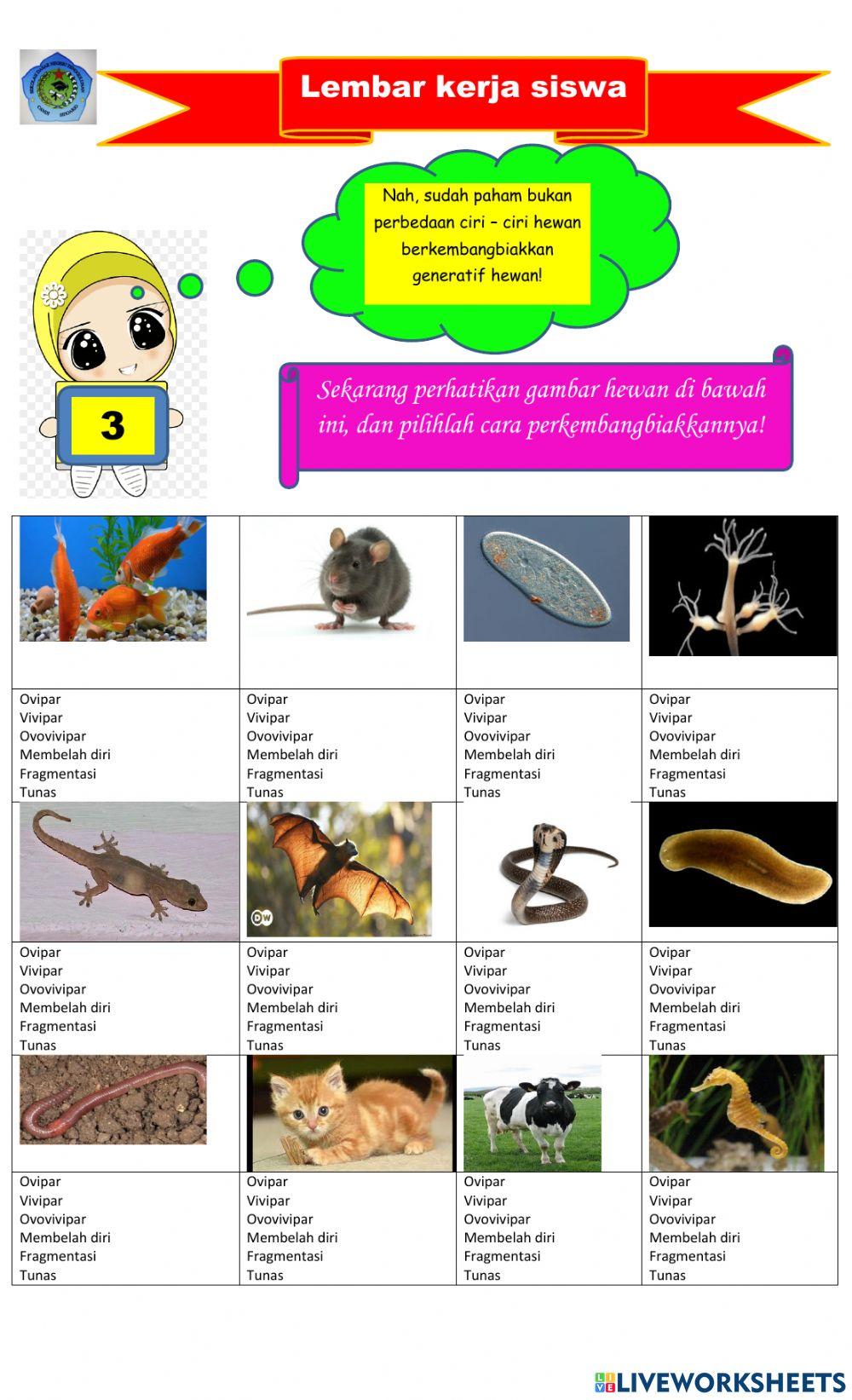 Perkembangbiakan Hewan