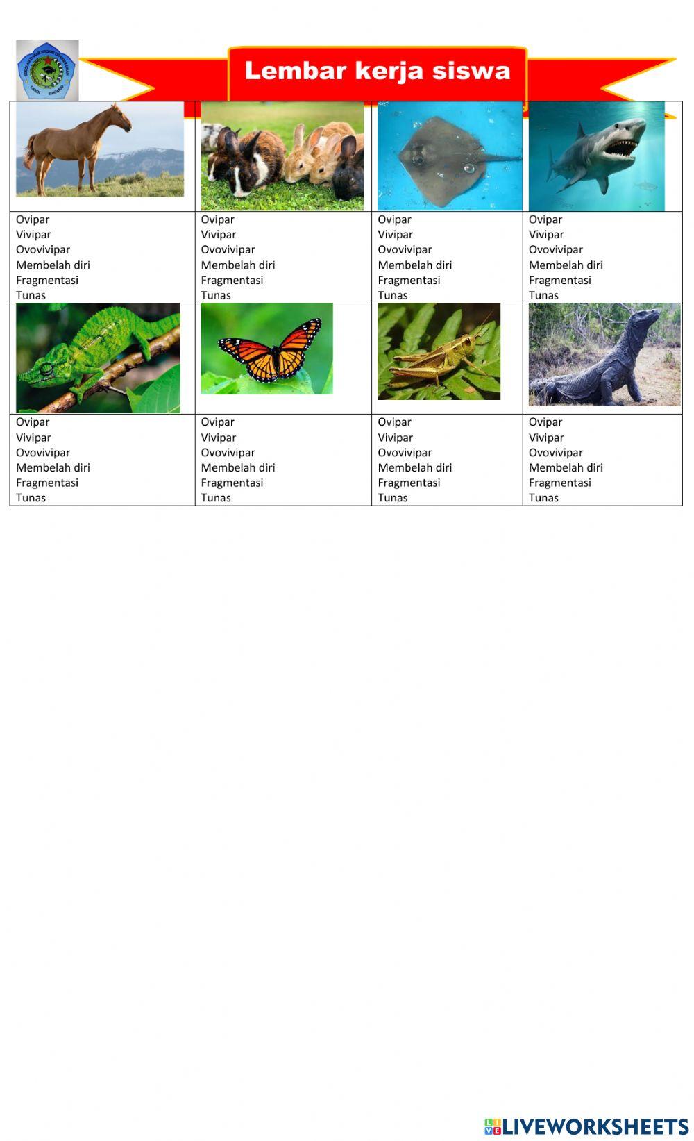 Perkembangbiakan Hewan