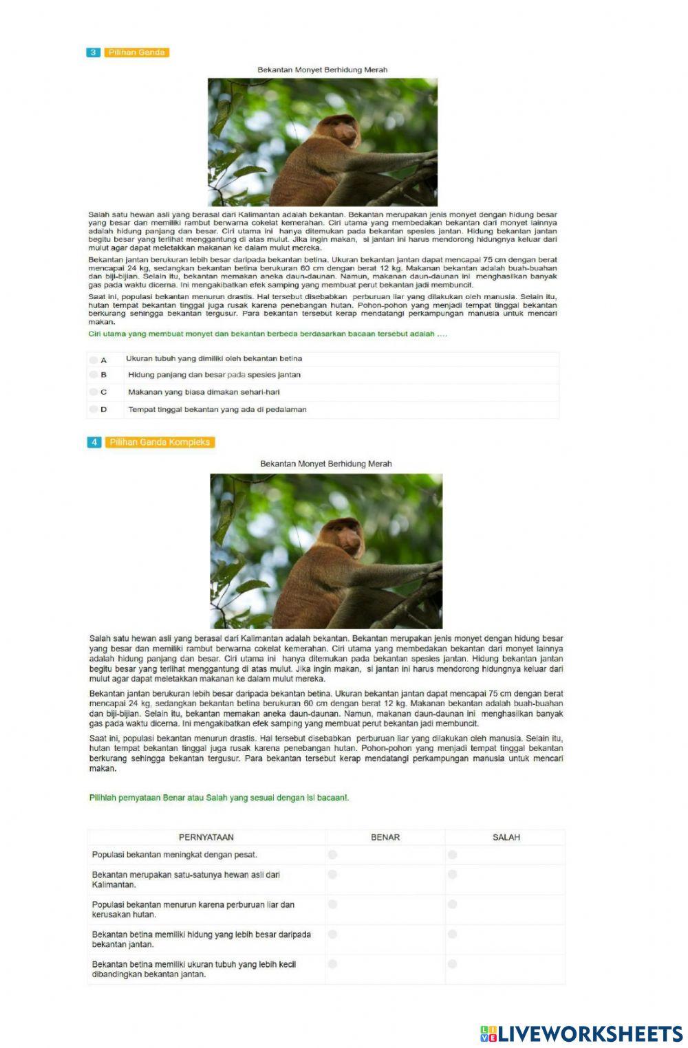 Latihan Soal AKM Literasi Informasi 1