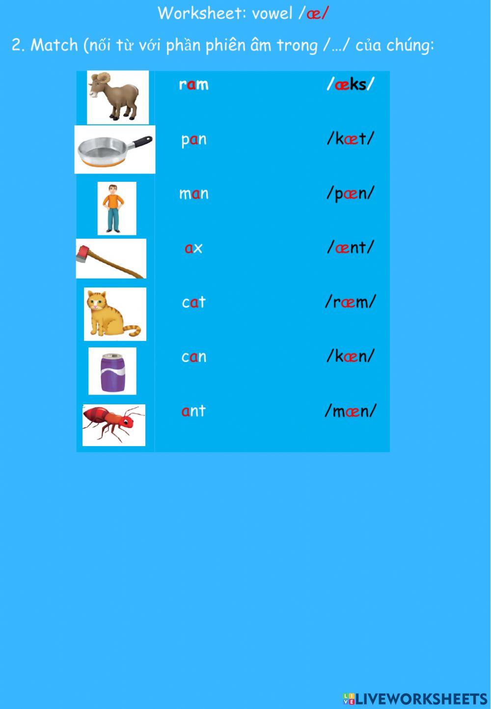 Vowel -æ- Vowel -æ-
