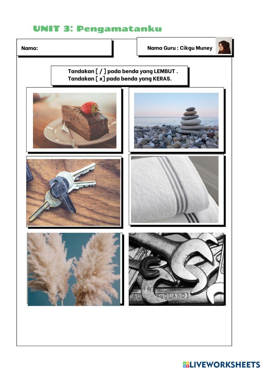 Unit 3 :Pengamatanku