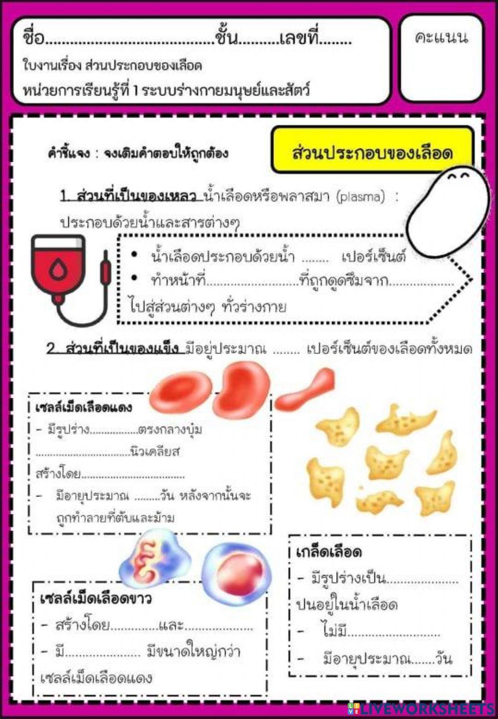 ใบงาน เรื่อง ส่วนประกอบของเลือด