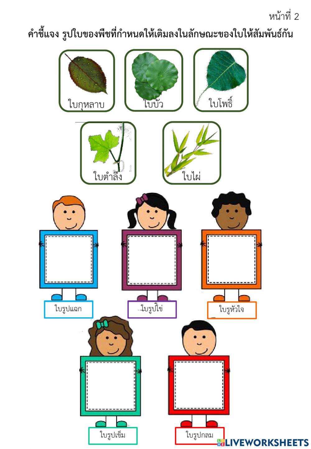 ส่วนประกอบของพืช